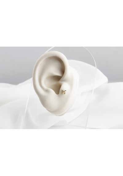Glorria Altın Boğa Burcu Tragus Piercing Çok Renkli