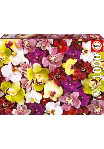 Educa 1000 Parça Orkide Çiçek Kolajı - Orchid Collage - 19558