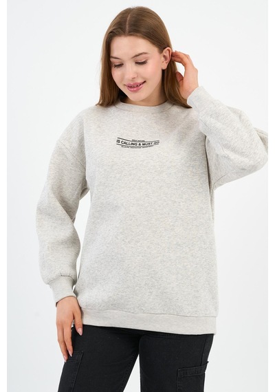 Alexander Gardi İçi Polarlı Baskı Detaylı Sweatshırt B23-37401 Gri