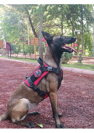 Tactical Göğüs Tasması Taktik Tasma Kırmızı