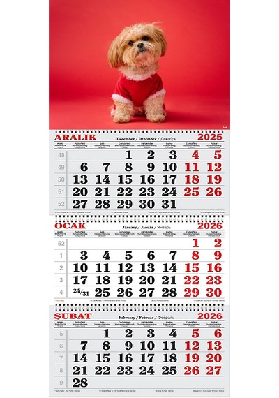 2026 Yılı Gemici Takvimi- Noel Kıyafetli Shih Tzu