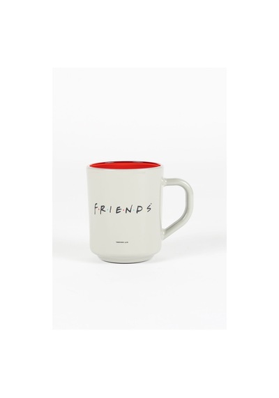 Rakle Friends Kupa Gri 246 Cc Renkli