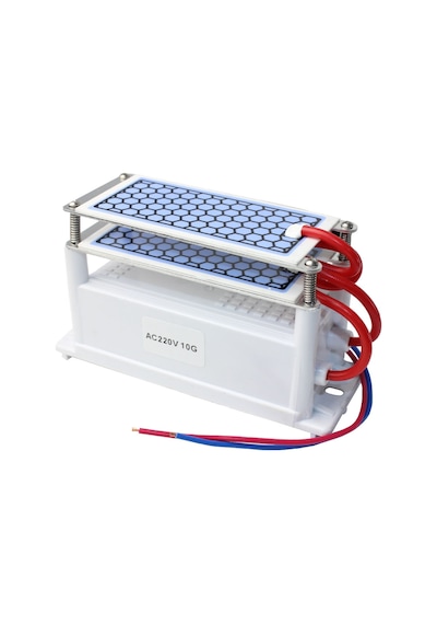 Taşınabilir Seramik Ozon Jeneratörü İki Yapraklı Hava Temizleme Cihazı Sterilizasyon Aktif Oksijen Arıtma Cihazı 220v 10g