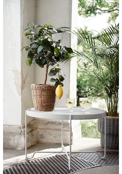 Rattan Saksı, Deniz Sazı, 19 Cm 3 Adet