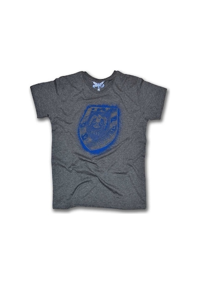 Hava Kuvvetleri Logo Kadın Kısa Kollu T-Shirt - Gri Çok Renkli