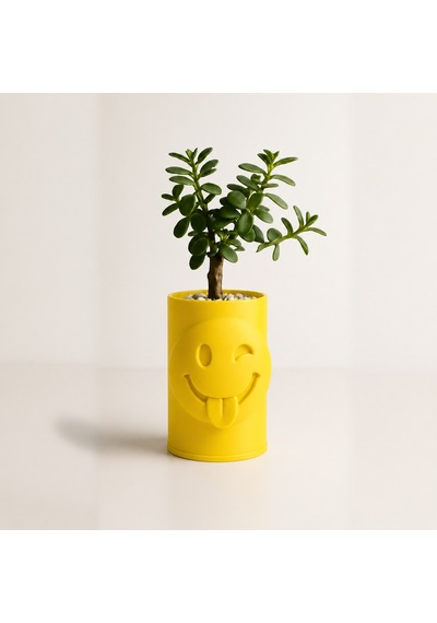3d Baskı Emoji Planter - Göz Kırpan Yüzlü Sukulent Saksısı-sarı Çok Renkli