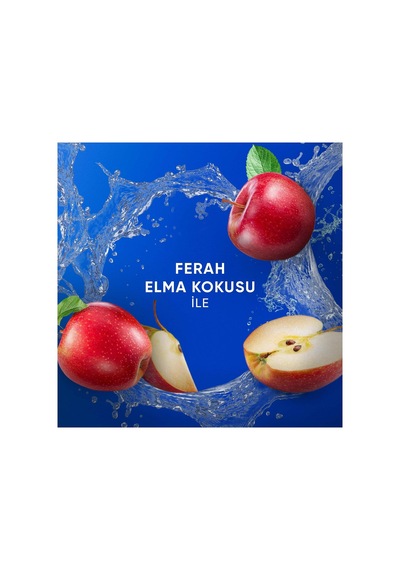 Arındırma Ve Parlaklık Kepeğe Karşı Etkili Şampuan 330ml