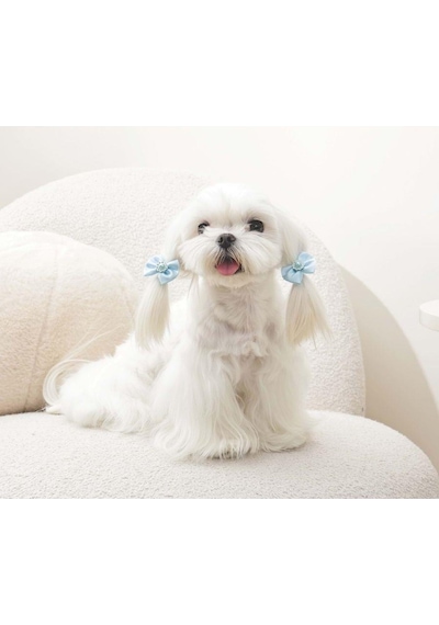 M-pets Glam Fiyonklu Kedi Ve Köpekler İçin Aksesuar Toka Mavi Mavi