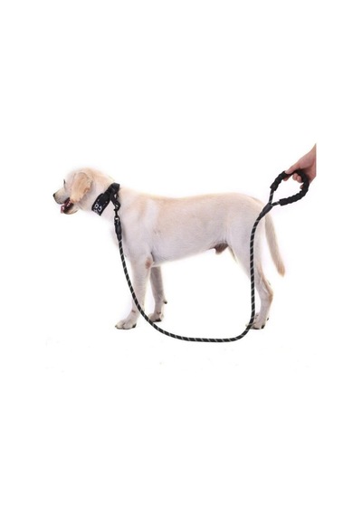 Köpekler İçin Gezdirme Tasması Reflektörlü 130 Cm Halat Orta Ve Büyük Boy Köpekler İçin Siyah Çok Renkli