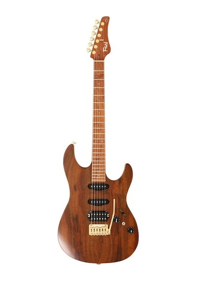 Fujigen Odyssey Elektro Gitar Eos2duew2rm/vnt