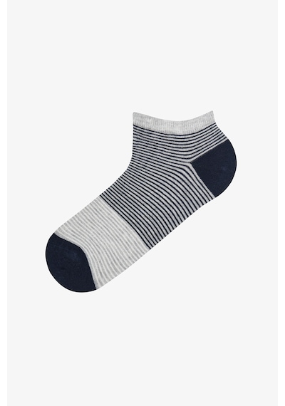 Penti Erkek Renkli Stripe Fade 3'lü Patik Çorap