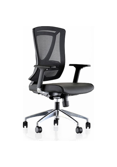 Dekofis Goldsit Ergonomik Çalışma Koltuğu Dekofis Goldsit Ergonomik Çalışma Koltuğu