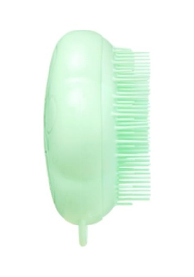 Pet Teezer Yeşil Kedi Masaj Ve Tarama Fırçası