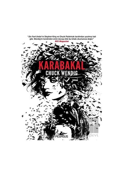 Karabakal Pegasus Yayınları - Pegasus Yayınları