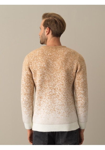 Xint Camel Regular Fit Bisiklet Yaka Kazak 801717