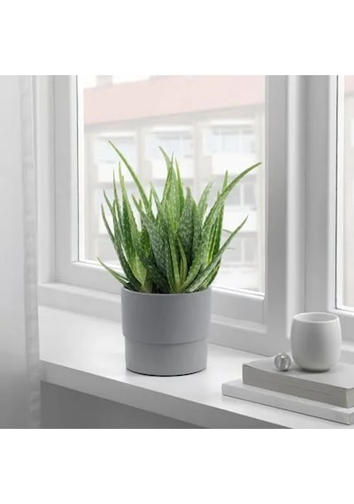 Sumuhome Nypon Dekoratif Plastik Saksı Gri 12 Cm