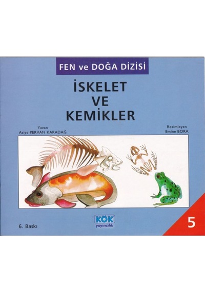 Fen Ve Doğa Dizisi Iskelet Ve Kemikler