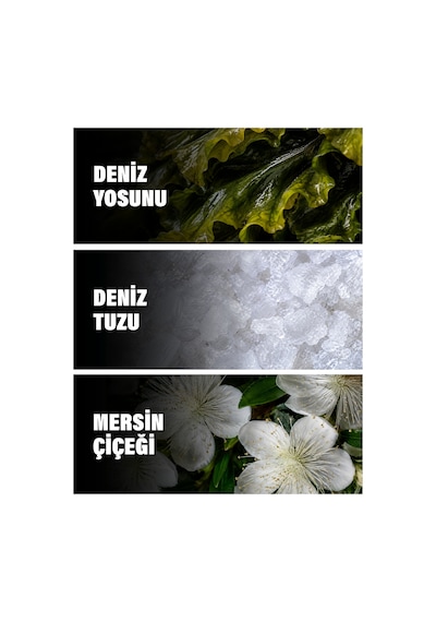Acqua Dı Sale 5 Ml Erkek Parfüm Narenciye / Turunçgil