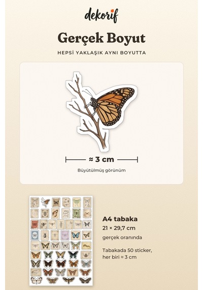 Kelebek Ve Güve Sticker Seti 100 Adet - Doğa Tarihi Antika Böcek Vintage Ajanda Journal Çıkartma Çok Renkli