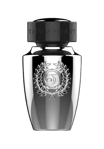 Triumphant Silver Glory Erkek Parfüm EDT 100 ML