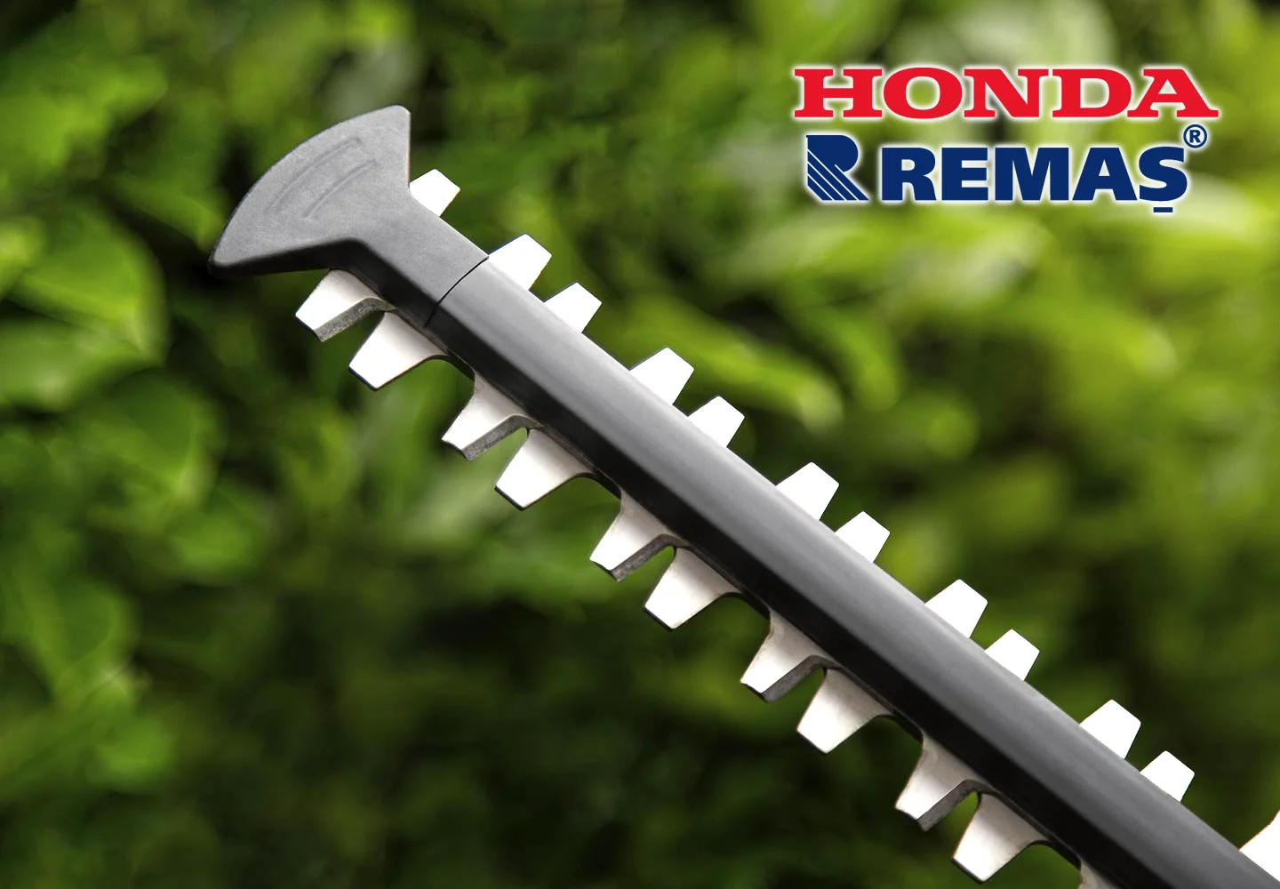 Honda Hhh36bxbe 65t Aküsüz Şarjsız Çit Biçme Budama Makinesi