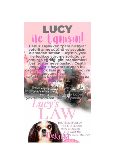 Petjoo 11.Lucy Pembe-Gri Qr'lı Köpek Künyesi