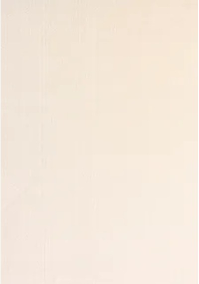 Youdayhomecollection Poly Peluş Model Halı 80x150 Çok Renkli Diğer 1bej