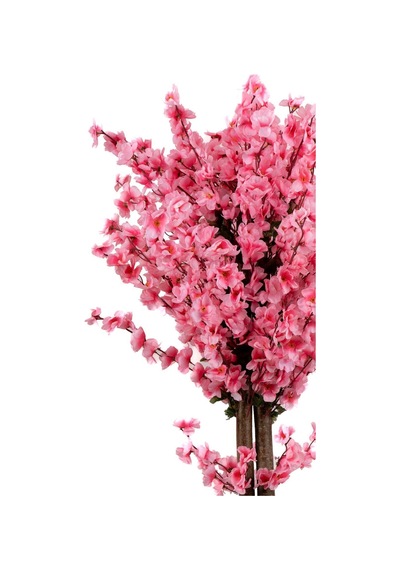 120 Cm Pembe Bahardalı Ağacı