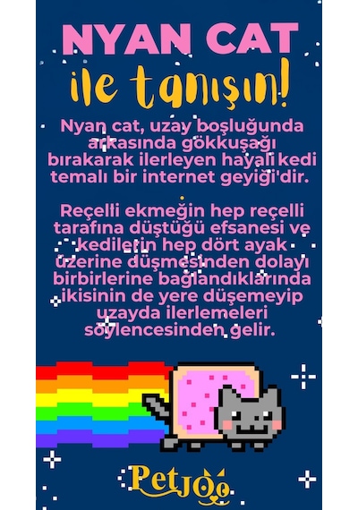 Petjoo 2.Nyan Cat Sarı-Pembe Qr'lı Kedi Künyesi