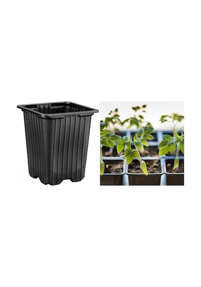 Fide Üretim Saksısı 100 Adet - Kare 8x8 Cm Vakum Saksı