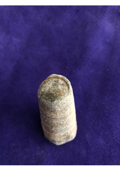 Kafadanbacaklı Baculites Fosil 45 Gram