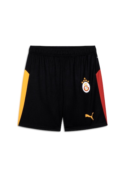 Puma Galatasaray 25/26 Erkek Futbol Şortu 779823 05 Siyah