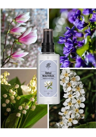 Rebul Kolonya 125 Ml Magnolıa