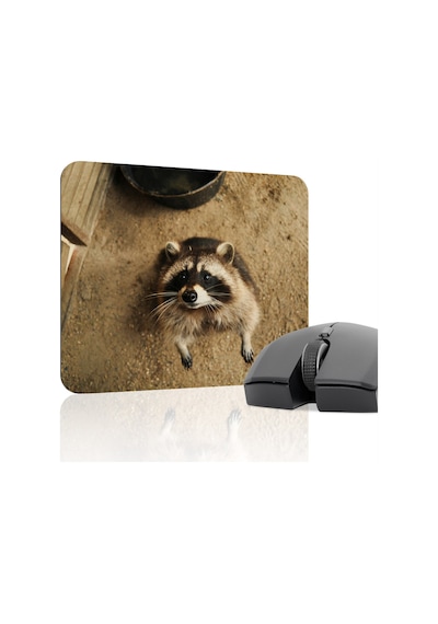 Rakun Kaymaz Dikişli Kauçuk Oyuncu Mousepad V1 - 22x18 Gaming Mouse Pad Fare Altlığı