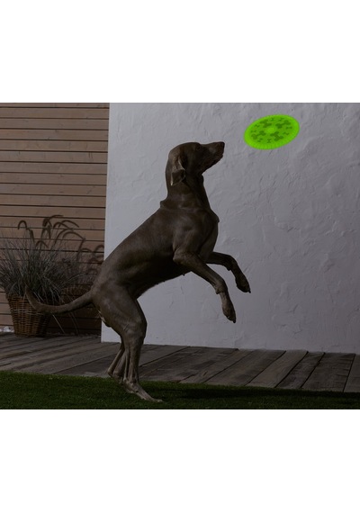 Tchibo Köpekler İçin Frizbi 684735