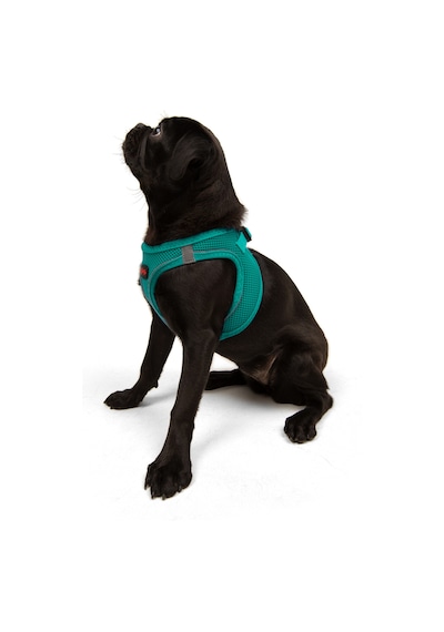 Air-Mesh Küçük ve Orta Irk Kedi Köpek Göğüs Tasması - Yumuşak, Nefes Alabilir, Dayanıklı YEŞİL S