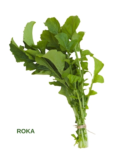 Yeşillik Tohumları Maydanoz, Tere, Roka, Dereotu 20 Gr.' Lık Paketlerde 20 Gr.