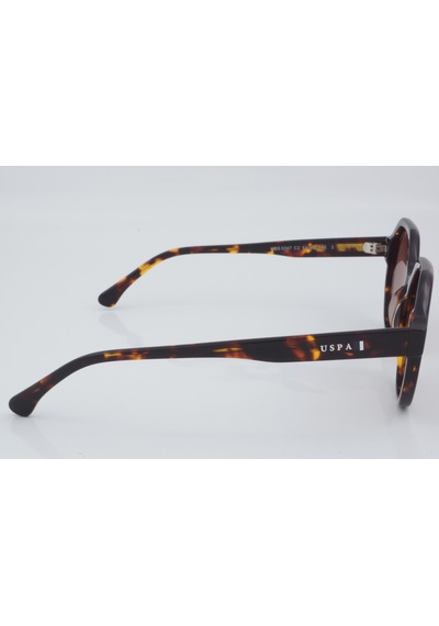 U.s. Polo Assn. Uss 0247 C2 53 - 01 Güneş Gözlüğü Leopar