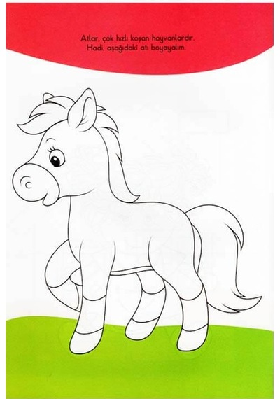 '+4 Yaş Becerikli Çocuklar Boyuyorum Büyüyorum (Kukla Yayınları)
