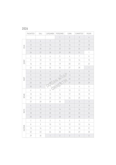 Ayşe Arman 2026 Iyilik Ajandası Çok renkli