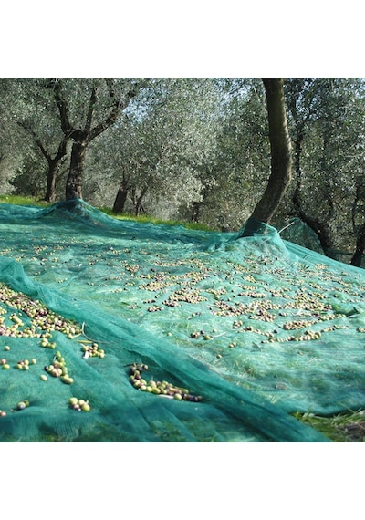 Zeytin Toplama Filesi