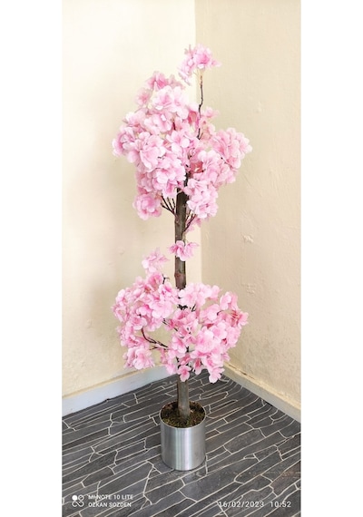 Rüzgar Çiçekcilik 1 Metre Pembe Renk Bahardali Pembe