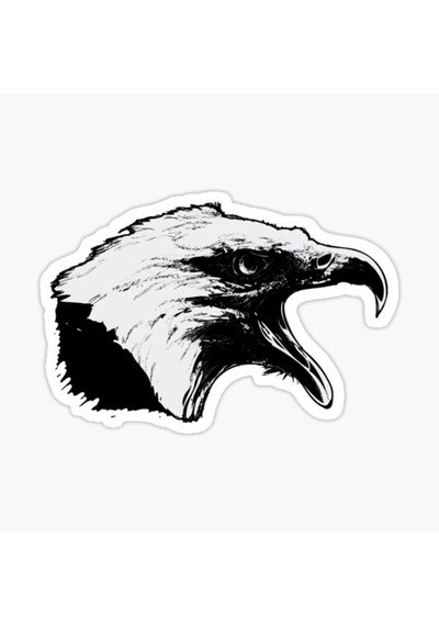 Araba Için Kartal Oto Sticker Yapıştırması Etiket 17Cm D5