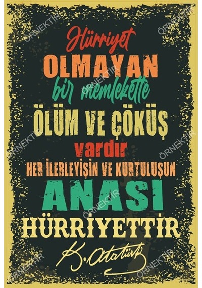 Hürriyet olmayan bir memlekette ölüm ve çöküş vardır Atatürk Duva