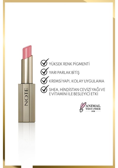 Aura Silk Lipstick 04 Nude Dream Kremsi Yarı Parlak Ruj - Nude Diğer