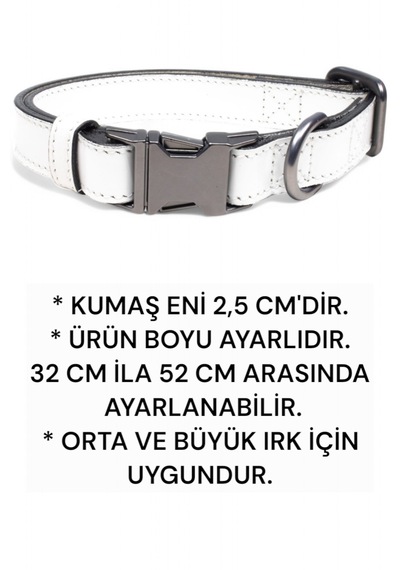 Hakiki Deri Köpek Boyun Tasması, Kişiye Özel Künyeli Lux Seri Beyaz