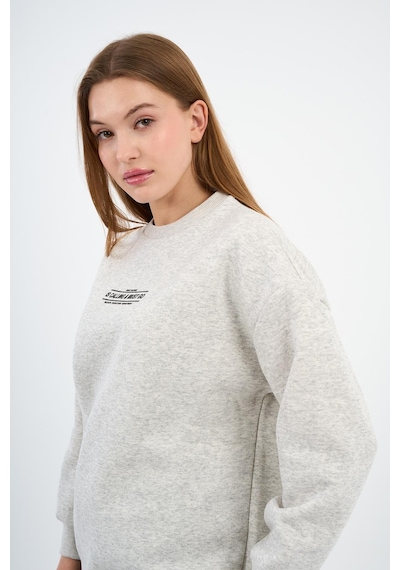 Alexander Gardi İçi Polarlı Baskı Detaylı Sweatshırt B23-37401 Gri