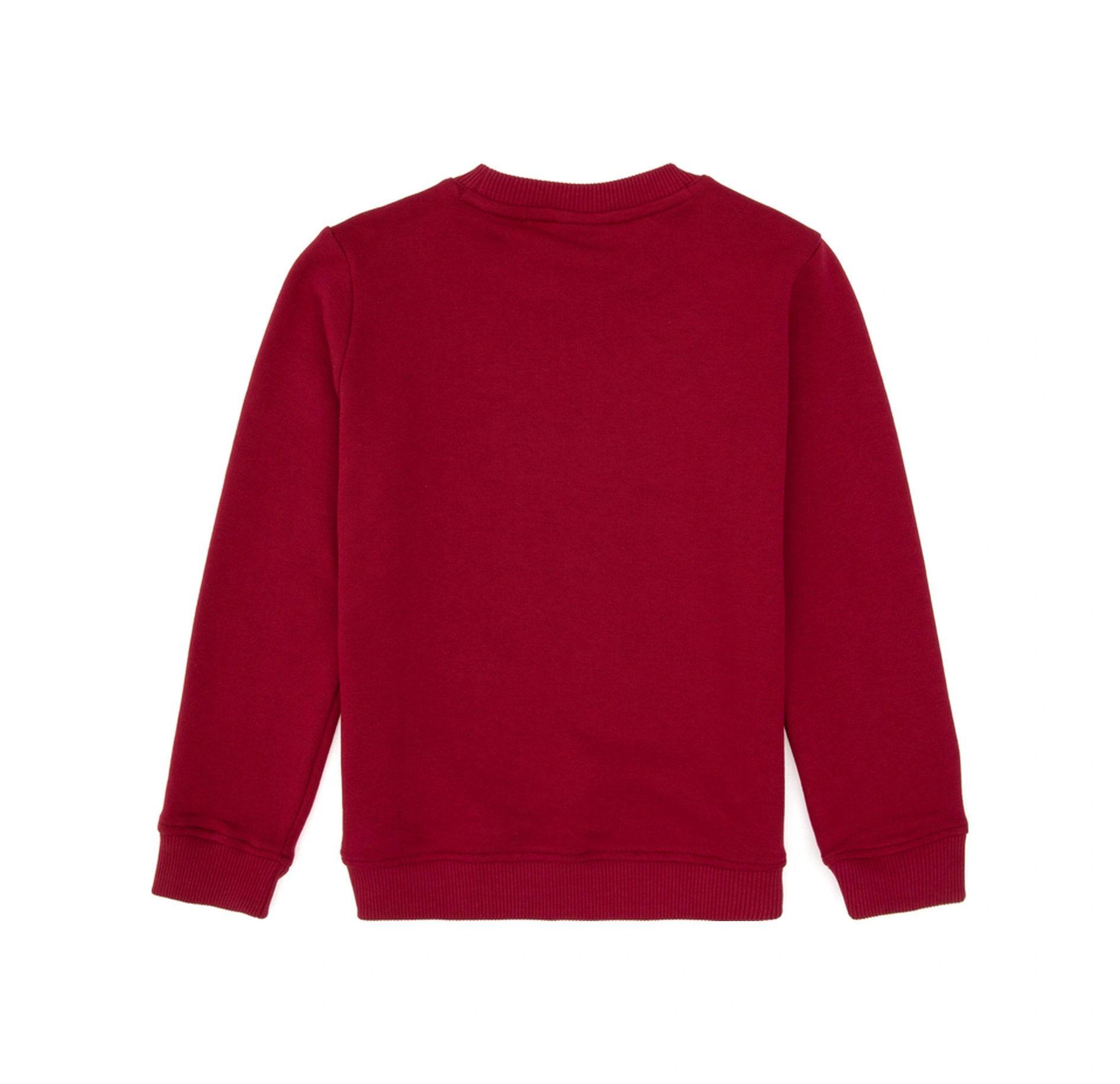 U.s. Polo Assn. Erkek Çocuk Sweatshirt 50316510-vr104 Koyu Frambuaz/dark Raspberry