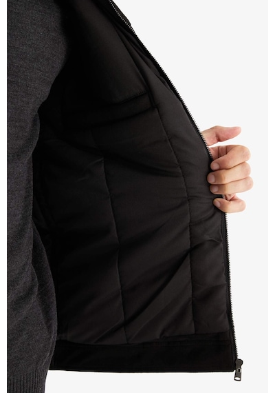 Defacto Slim Fit İç Cepli Süet Mevsimlik Baharlık Siyah Erkek Mont A3254ax/bk27 Siyah