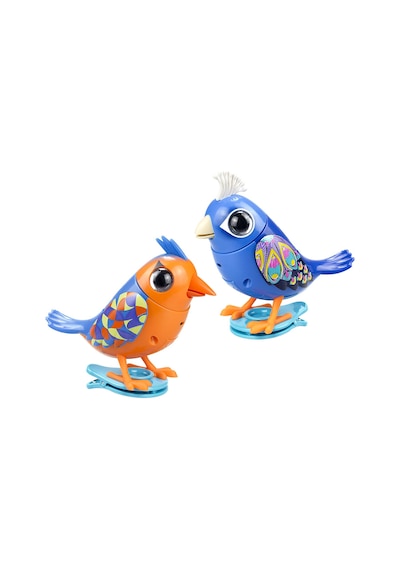 Digibirds İkili Paket Seri 1